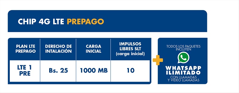 chip 4g LTE 300322