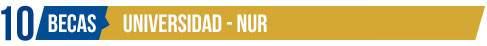 bt-nur20